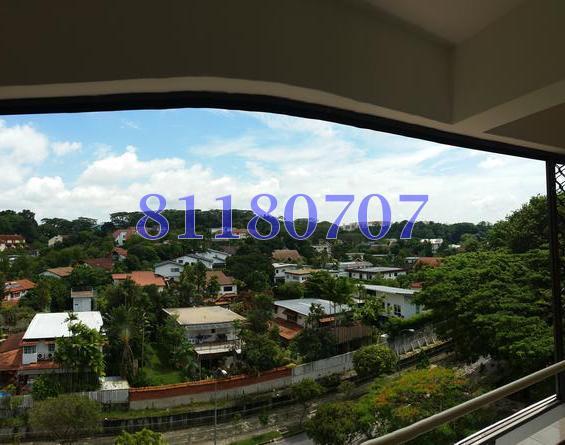 Clementi Park (D21), Condominium #113163562